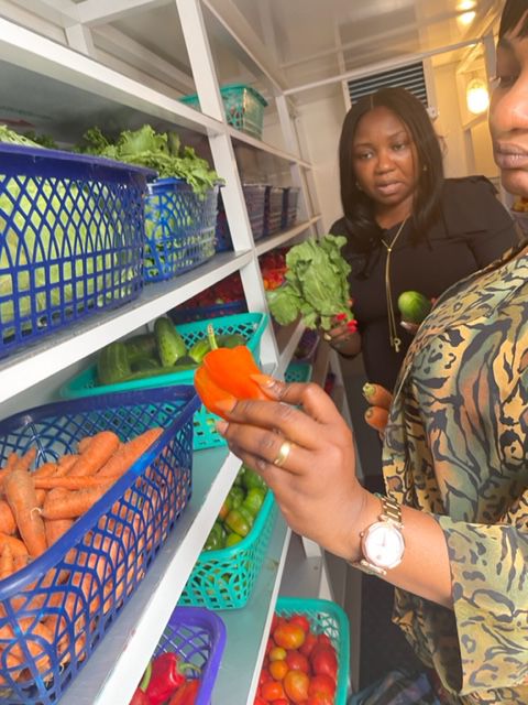 Inspecting peppers and fresh vegetables on the shelves inside the SOLTECH cold room